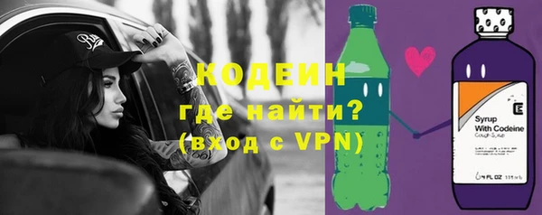 индика Гвардейск