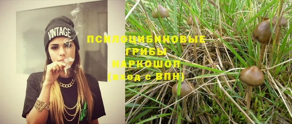 гашик Галич