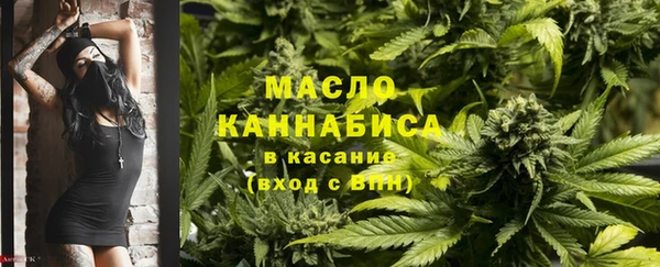 сатива Арсеньев