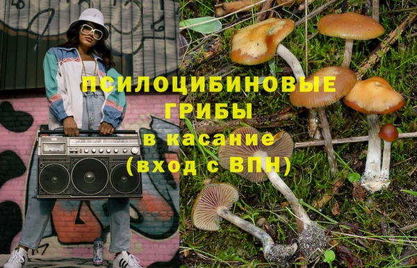 сатива Арсеньев
