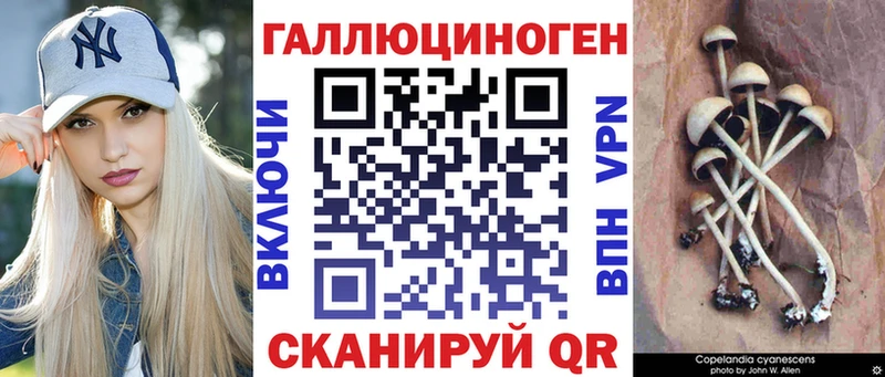 Псилоцибиновые грибы GOLDEN TEACHER  Белокуриха 